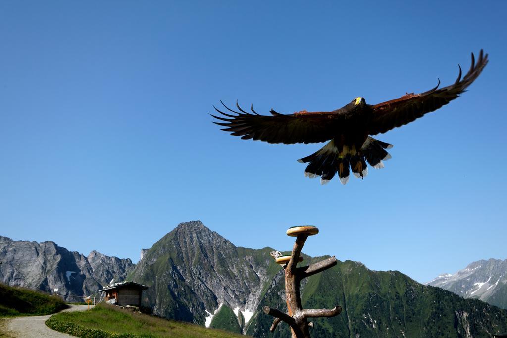 Gaestehaus Ahornblick Mayrhofen Exteriör bild